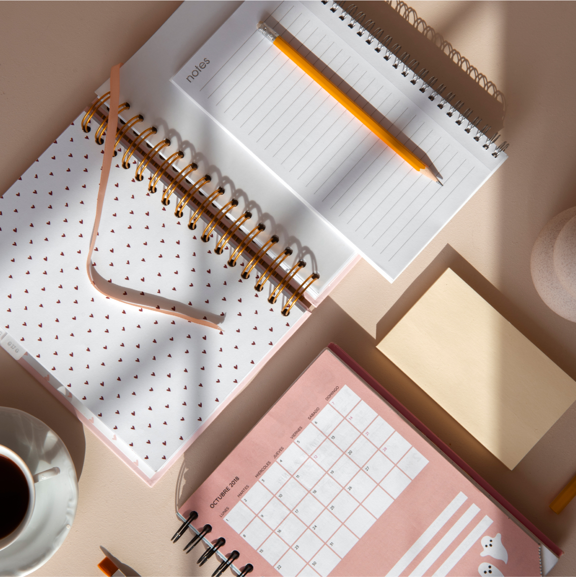 Dani Paper